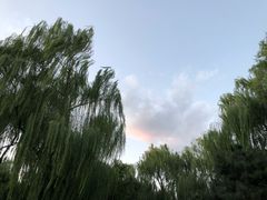 -玲珑塔公园