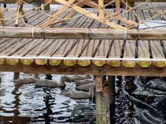 -小塘渔村(开平大道店)