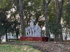 -武汉大学-樱园