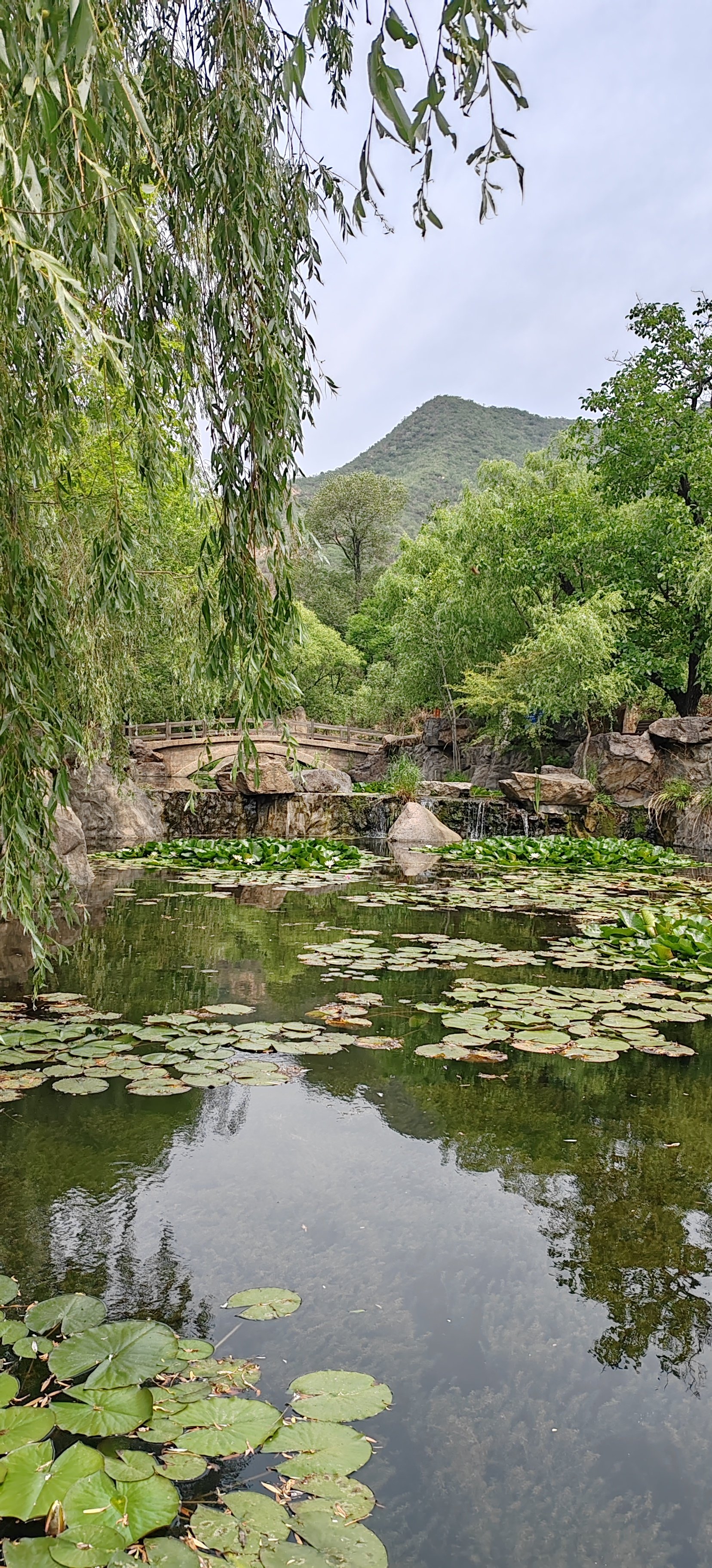 神泉峡图片