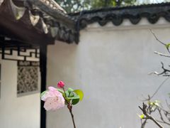-拙政园