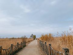 -野鸭湖国家湿地公园