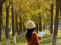 -东钱湖旅游度假区