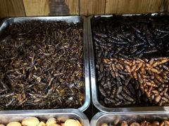 -昆虫窝子·特色云南菜(拓东路总店)