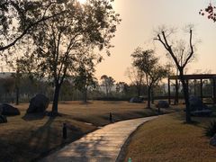 -春花秋色城市公园