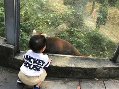 -柳州市动物园