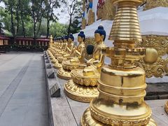 -护国法轮寺