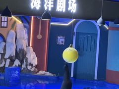 -重庆欢乐海底世界