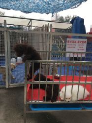 -萌宠亲子动物乐园(槐房万达店)