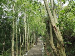 -窦圌山风景区