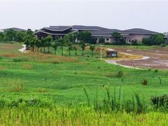 -洪湖生态旅游区