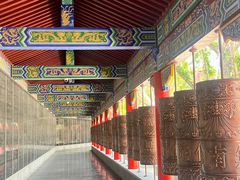 -皇罗禅寺