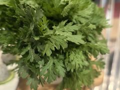 茼蒿菜-蜀九香火锅(彩虹店)