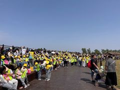 -盐城丹顶鹤湿地生态旅游区