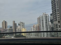 -香港大学