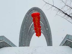 -大兴滨河森林公园