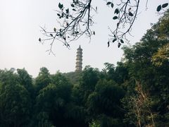 -巢湖姥山岛