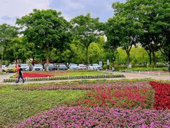 -玄武湖景区-情侣园游乐场