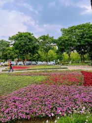 -玄武湖景区-情侣园游乐场