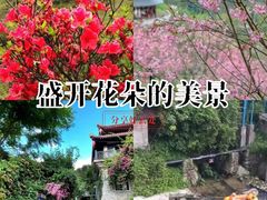 -广东天露山旅游度假区