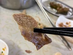 -百利鸽王(紫薇路店)