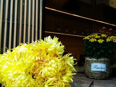 -缘来聚·徽菜名店(黄山宏村店)