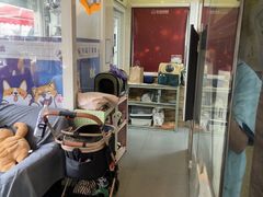 -芭比堂动物医院·心脏科·老年急重症·夜诊·吉雅分院