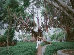 -厦门大学(思明校区)