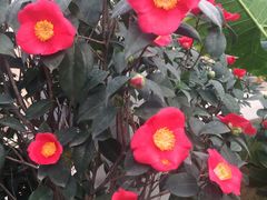 -天源吉布世温泉水乐园