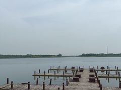 -西青郊野公园