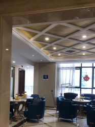 -碧莲盛·不剃发植发