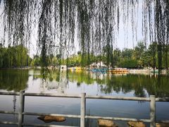 -莲湖公园