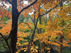 -本溪老边沟风景区