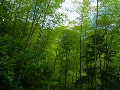 -公盂村