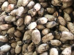 -北京清河镇农副产品交易市场中心