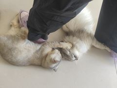 -平行世界·猫咖(首经贸店)