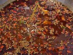 -味之绝热血美蛙鱼火锅(中坝店)