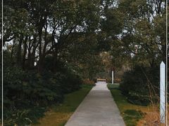 -新江湾城公园