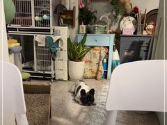 -小时光咖啡馆(北锣鼓巷店)