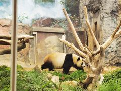 -石排湾郊野公园