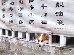 门面-小梁哥云吞面(黄贝岭店)