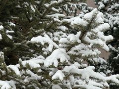 -中关村生命科学园