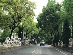 -华西村
