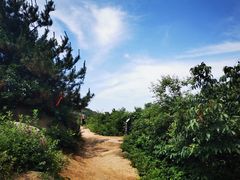 -灵岩山风景区