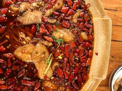 -青城甲(青城山店)