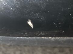 -圣手汽车凹陷修复玻璃修复(上海店)