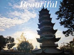 -龙华寺