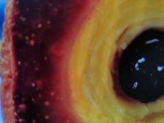 -味多美蛋糕(六里桥店)