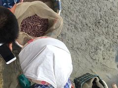 -北海金海湾红树林生态旅游区