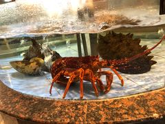 -老街坊美食汇(玉兰大街店)